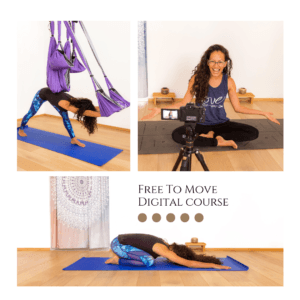 Yoga and aerial somatic movement course